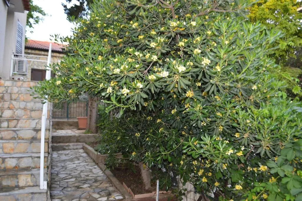 Apartment In Maslenica Jasenice
